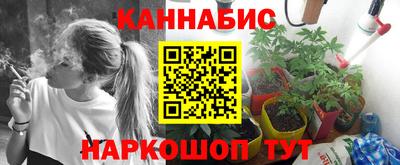 ECSTASY Новозыбков