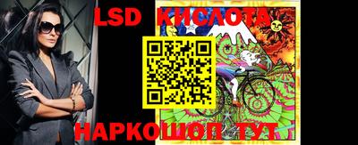 тгк Новодвинск