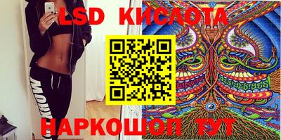 тгк Новодвинск