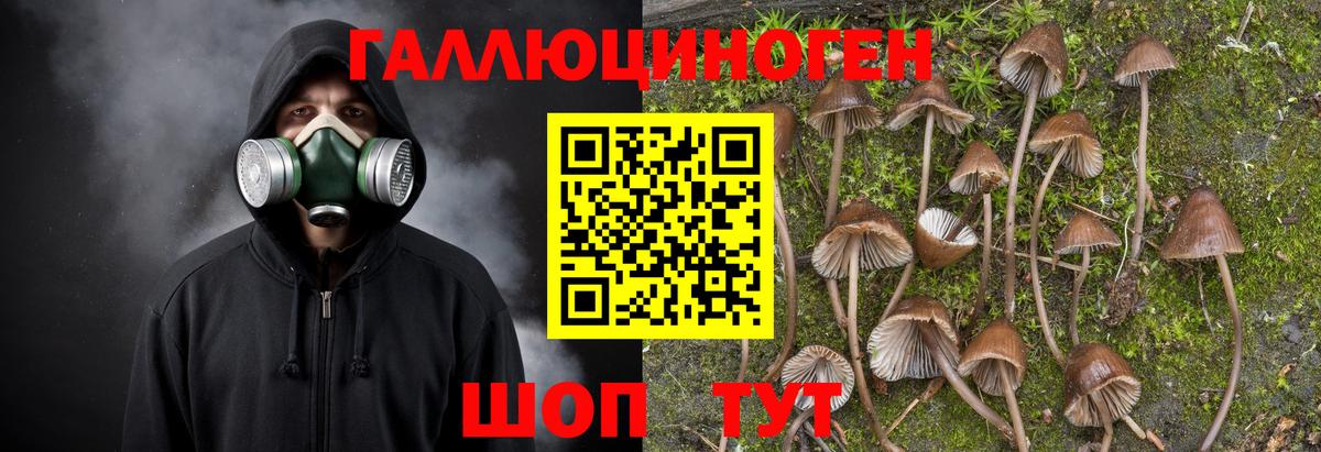 Псилоцибиновые грибы MAGIC MUSHROOMS  Вход с VPN  Советский 